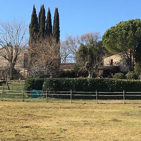 Podere Conte Racani Amelia Eksteriør bilde