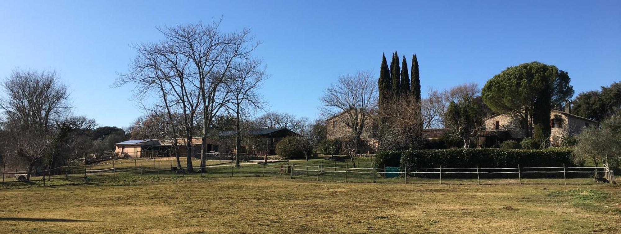 Podere Conte Racani Amelia Eksteriør bilde