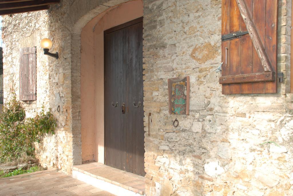 Podere Conte Racani Amelia Rom bilde