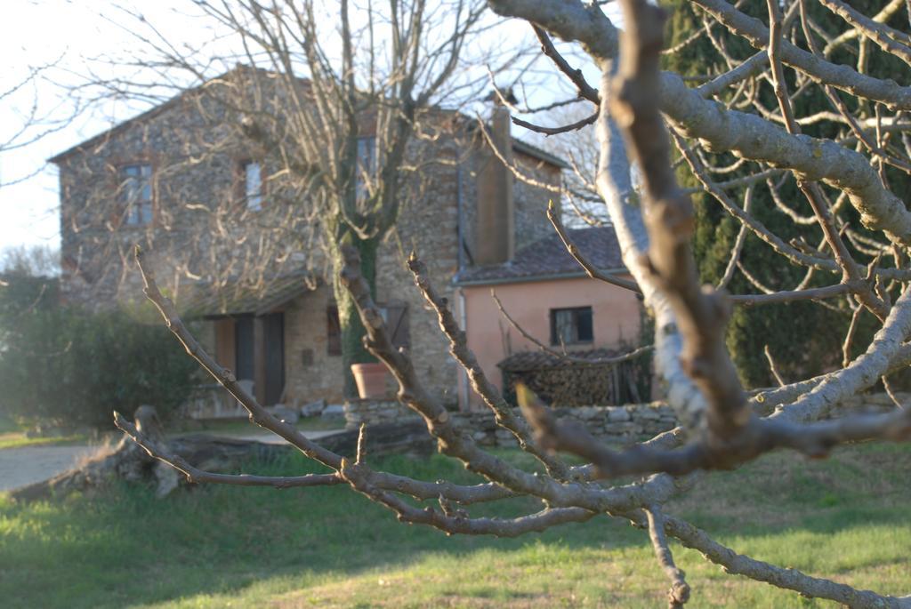 Podere Conte Racani Amelia Eksteriør bilde