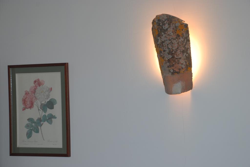 Podere Conte Racani Amelia Rom bilde