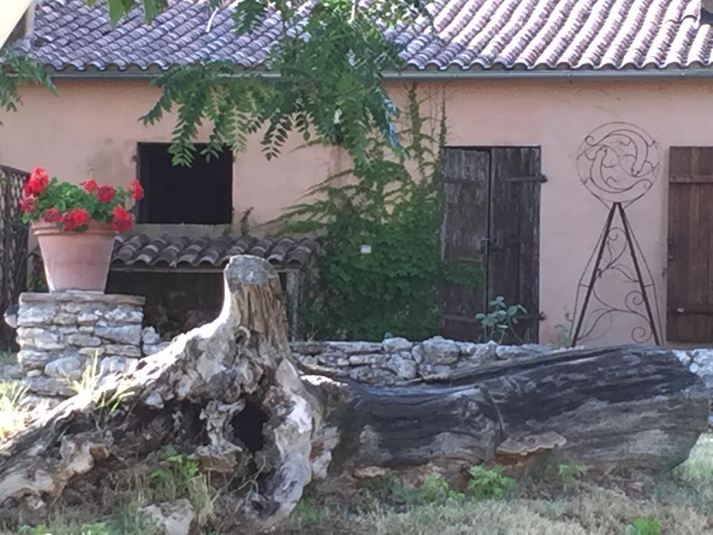 Podere Conte Racani Amelia Eksteriør bilde
