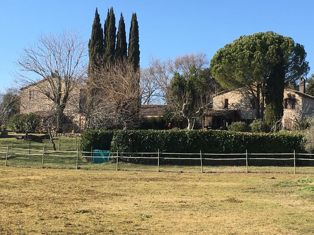 Podere Conte Racani Amelia Eksteriør bilde
