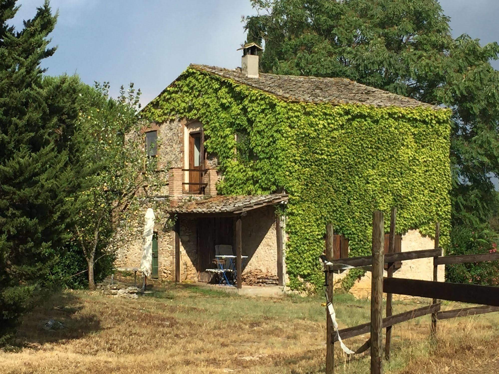 Podere Conte Racani Amelia Eksteriør bilde