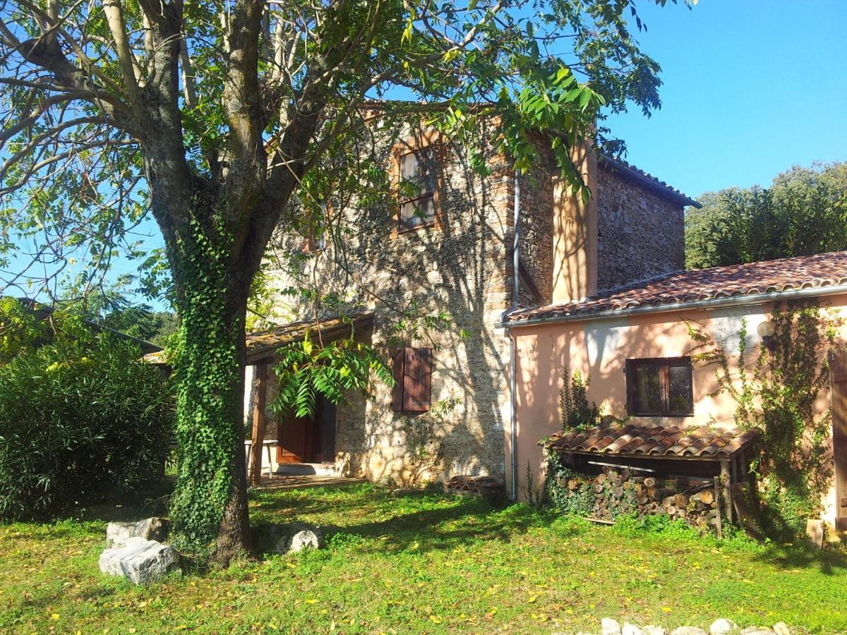 Podere Conte Racani Amelia Rom bilde