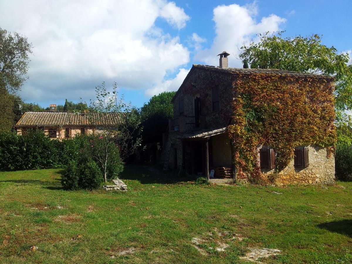 Podere Conte Racani Amelia Rom bilde